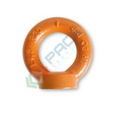 Golfari femmina per sollevamento, acciaio legato ad alta resistenza grado 8 Ø mm M8 - Art. 8043 M8